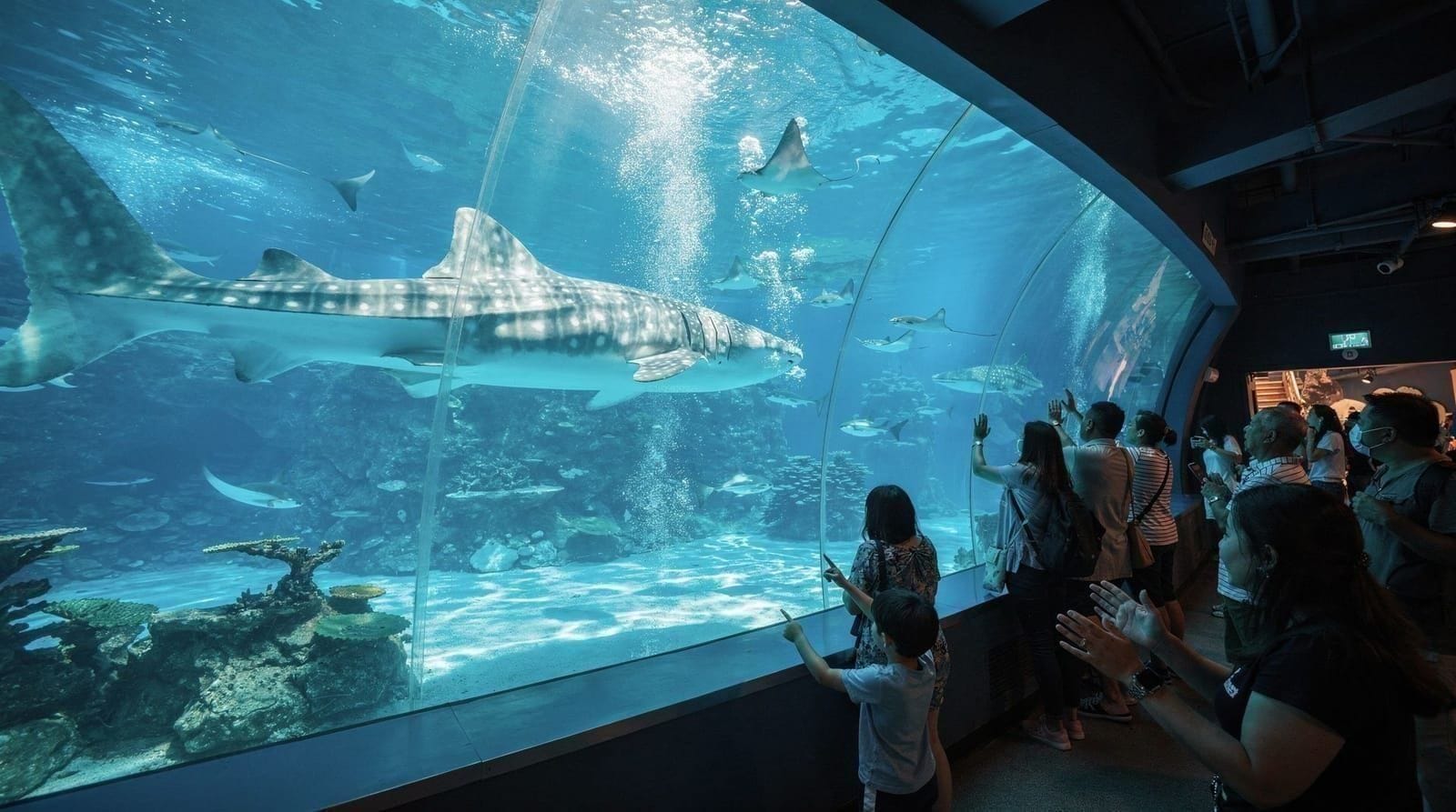Family and theme parks