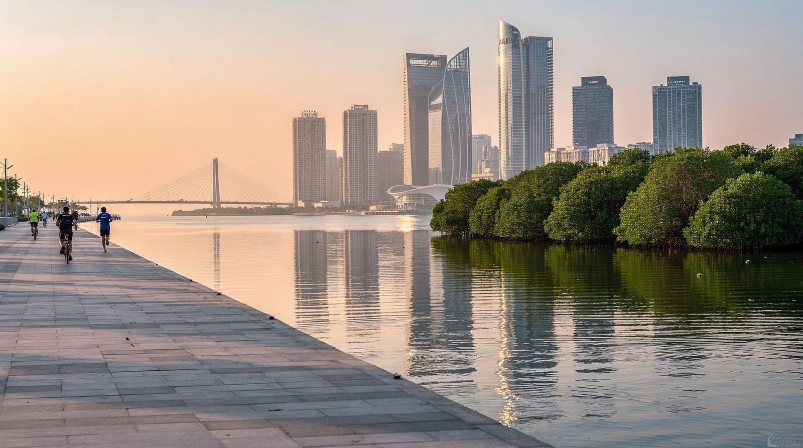 Shenzhen Bay Park and Talent Park: the city's best waterfront walk