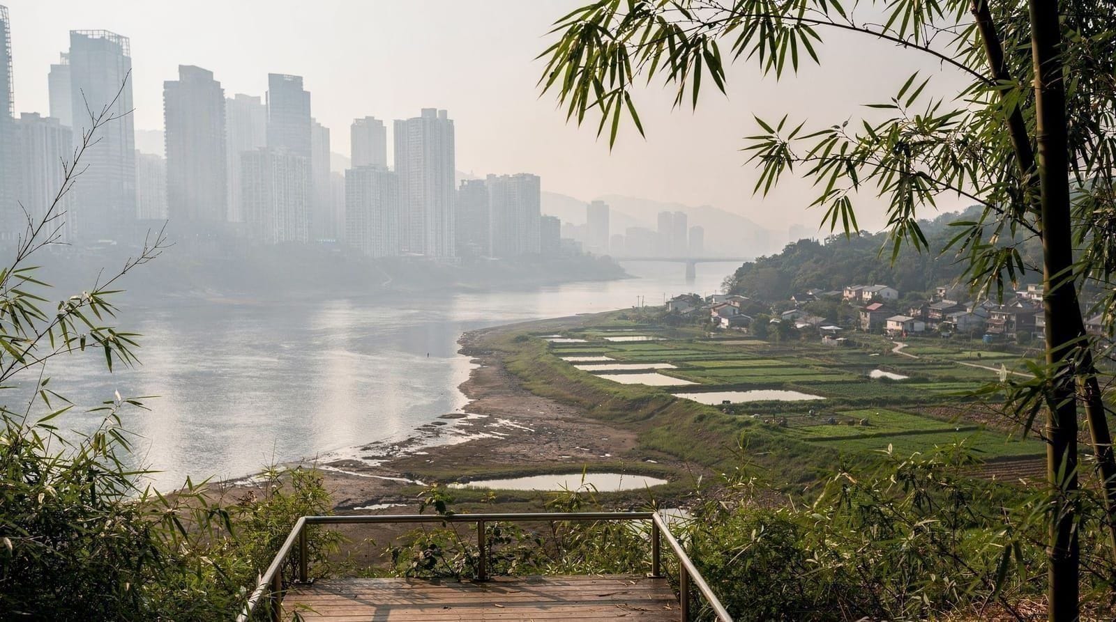 Shenzhen vs Hong Kong: which city should you visit?